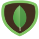 MongoDB
